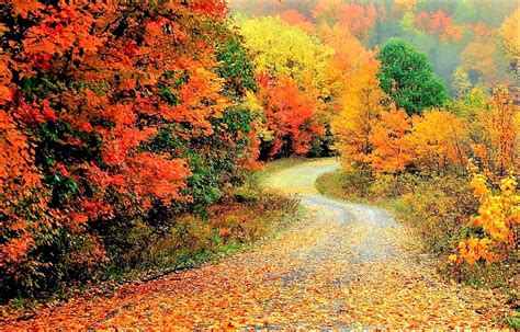 1920x1200px 1080p Free Download West Virginia Country Road In Autumn