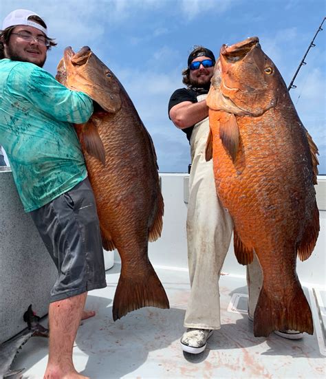 Louisiana Sportsman