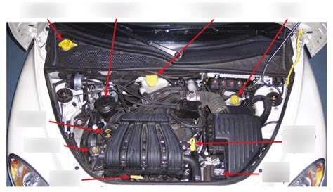 자동차기초정비실습 Engine Compartment Common Fluid Locations Diagram Quizlet