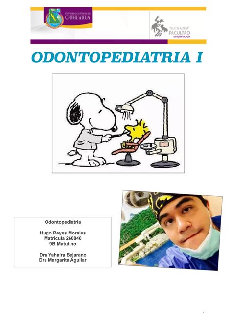 Mantenedores De Espacio Odontopediatria Pdf