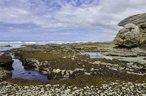 Images of De Hoop Nature Reserve - Garden Route