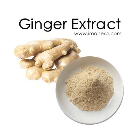 Ginger Root Extract Ginger Extract Gingerols