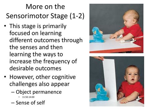 What Is Sensorimotor Stage