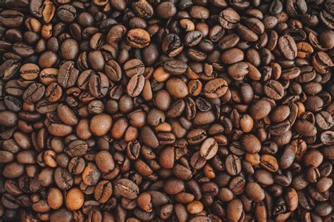 Le Guide Complet Du Café Décaféiné On Vous Décrypte Tous