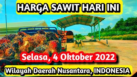 HARGA SAWIT HARI INI TERBARU 4 OKTOBER 2022 Wilayah Daerah Nusantara