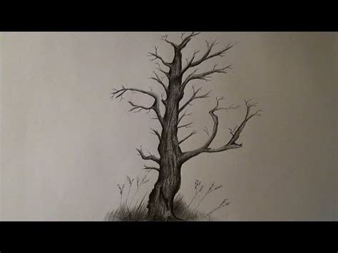 Arbol Seco Dibujo A Lapiz Imagui