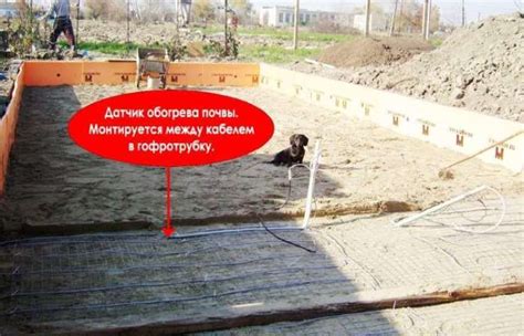 Подогрев грунта в теплице греющим кабелем.