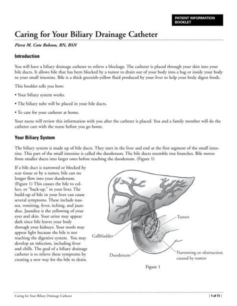 How Often To Flush Biliary Drain - Best Drain Photos Primagem.Org