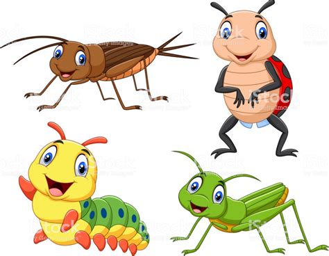 Ilustraci N De Dibujos Animados Del Grupo De Insectos Y Bichos De Los ...