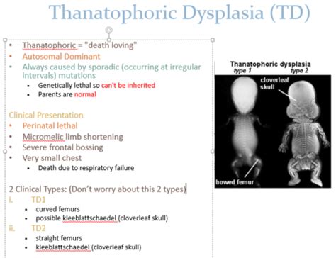 Msk Developmental And Acquired Pathology Of Bone Flashcards Quizlet