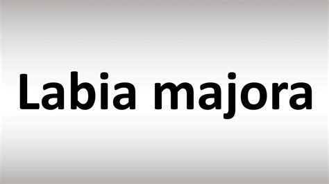 How To Pronounce Labia Majora Youtube