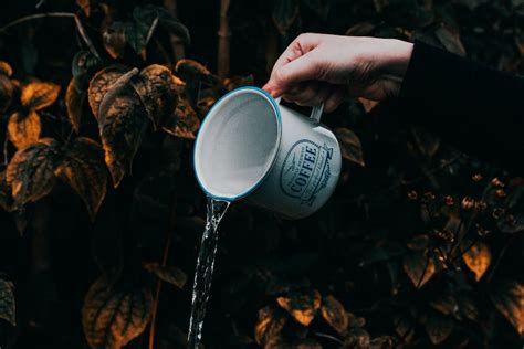 Time Lapse Photography Of Water In Cup · Free Stock Photo