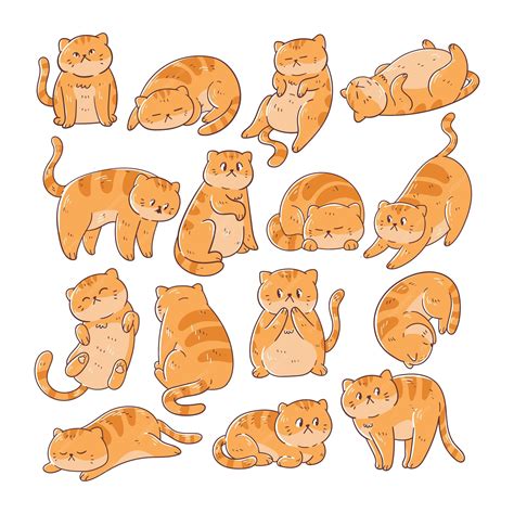 Premium Vector Set Of Cat Poses Handdrawn Illustration Collection