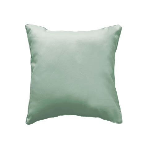 Coussin Passepoil 40 X 40 Cm Sauge Leroy Merlin