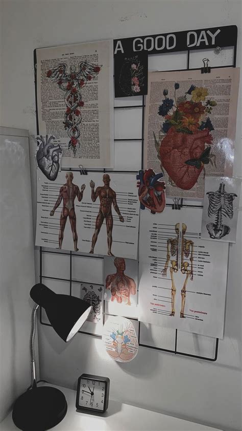 A White Desk Topped With Lots Of Medical Diagrams And Pictures On It S Wall