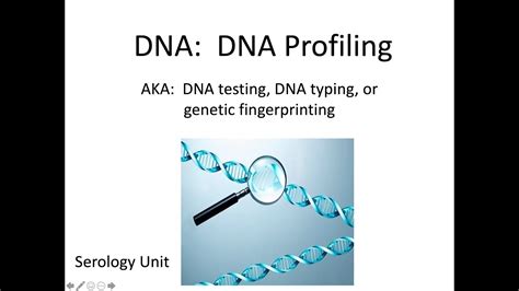 Forensic Serology Notes 4 DNA Profiling YouTube