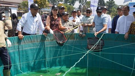 Kkp Dorong Sistem Bioflok Sebagai Solusi Budidaya Ikan