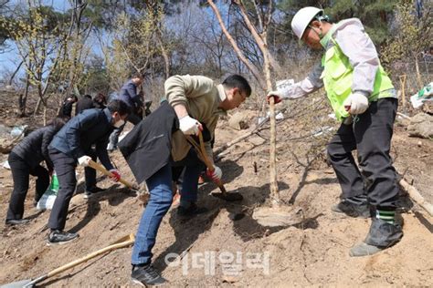 포토 성북구 제78회 식목일 기념 나무심기 행사 네이트 뉴스