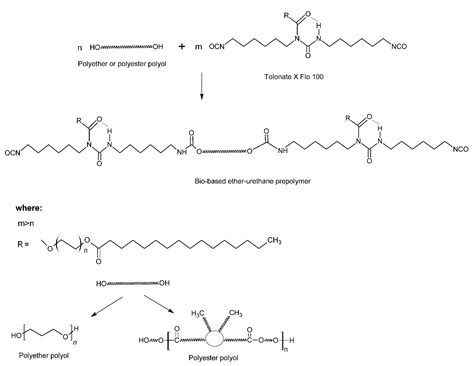 Ijms Free Full Text Eco Friendly Ether And Ester Urethane Prepolymer Structure Processing