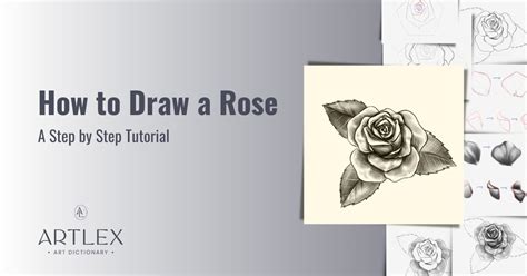 How To Draw A Flower Step By Step With Pencil For Beginners