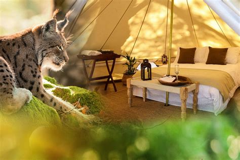 Expérience insolite du glamping dans un site naturel exceptionnel