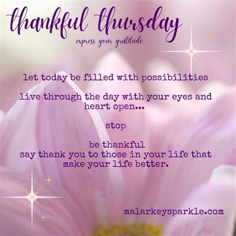 Thankful Thursday Express Some Gratitude Malarkey