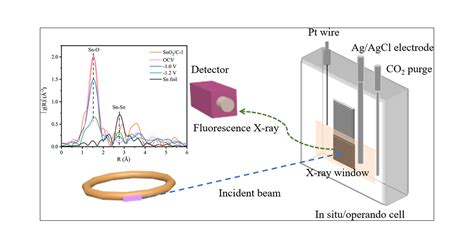 Operando X Ray Absorption Spectroscopy Study Of SnO2 Nanoparticles For