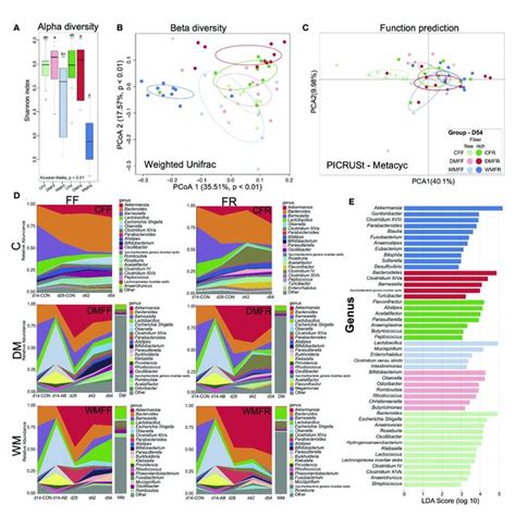 Bacteria Communities In Mice Treated With Fecal Microbiota