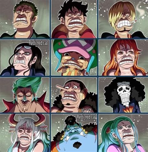 Pin On One Piece Anime