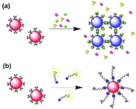 Schematic Representation Of Au Nps Biosensor Based On Lspr A And