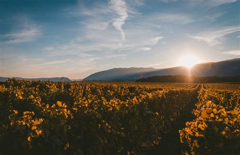 Cuándo empieza la primavera en Argentina día y hora del equinoccio 2023