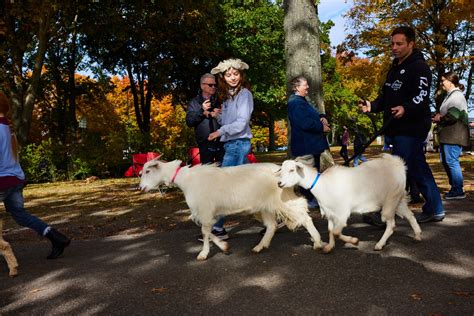 An Afternoon At The New York Sheep And Wool Festival In Rhinebeck Vogue