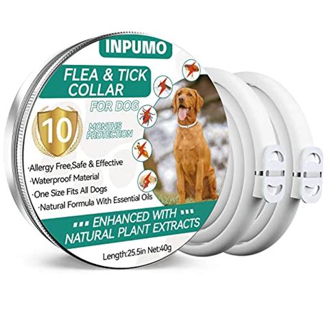 Collar Antiparasitario Perros Lidl 2024