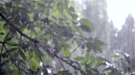 heavy rain shower downpour cloudburst rainfall   glass stock