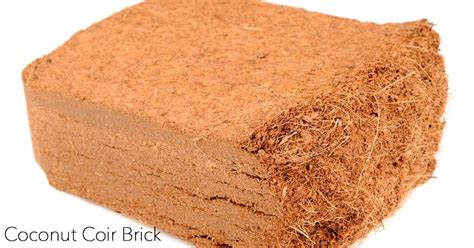 Coconut Coir: What Is Coco Coir And How To Use It In The Garden