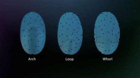 Fingerprint Loop Whorl Arch