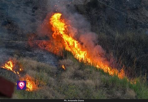 Emergenza Incendi E Carenza Idrica La Maggioranza Risponde A Fi