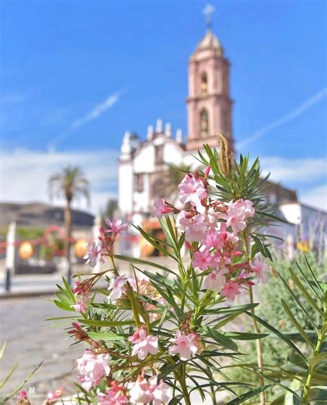 Pabellón de Hidalgo explora la arquitectura y riqueza cultural de este