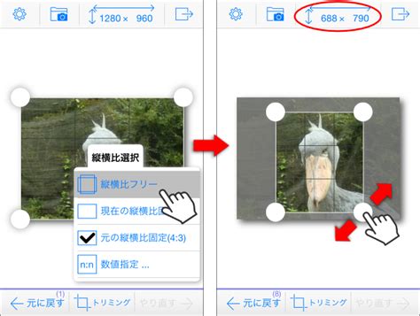 画像の縦横比を変える方法とトリミングモードの解説 Photo消しゴム 〜 写真ぼかしandプライバシー確認アプリ