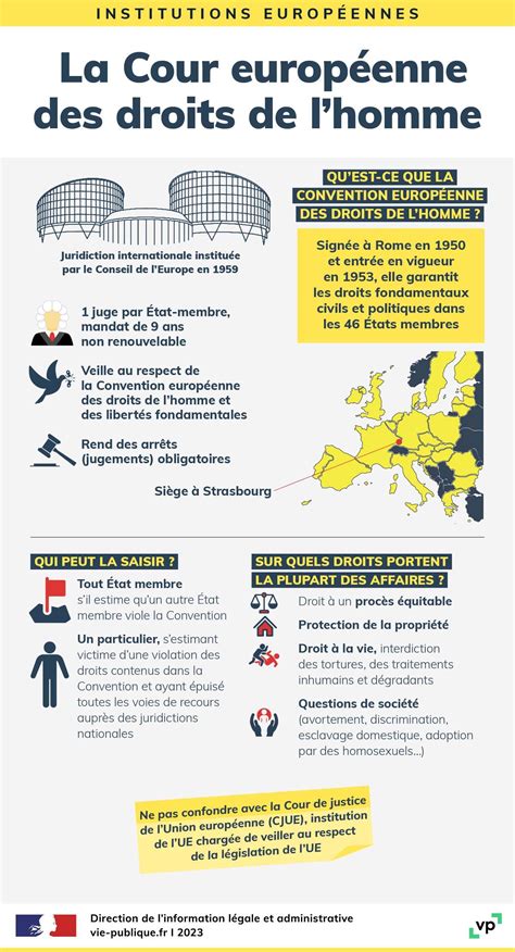 Infographie La Cour Europ Enne Des Droits De L Homme Cedh Vie