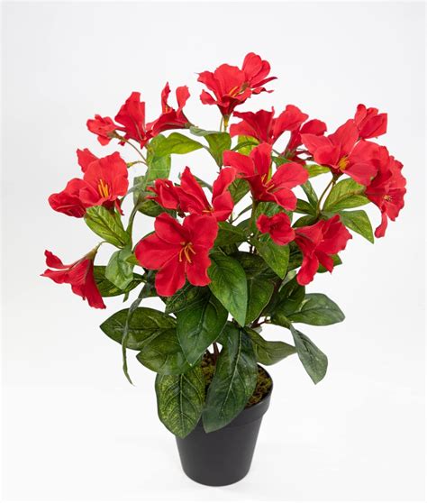 Amazon de Seidenblumen Roß Hibiskus 40cm rot im Topf ZF künstliche