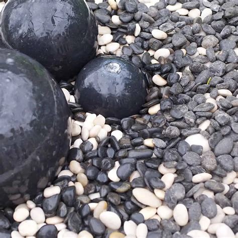 Black Pebbles 20 40mm Each Buildland Ltd Uk Timber Pavers Bricks And Building Supplies