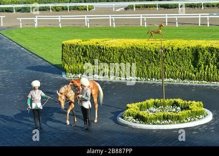 TURKMENISTAN, ASHGABAT - APRIL 24,2019: Day of Turkmen racehorse ...