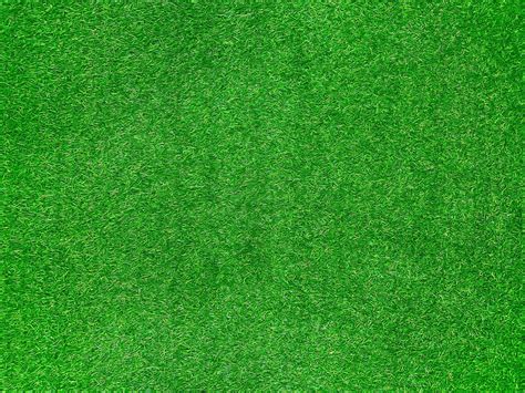 Green Grass Texture Background Grass Garden Concept Used For Making