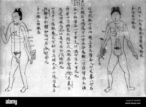 Medicine Birth Gynecology Oldest Japanese Picture Of A Naked