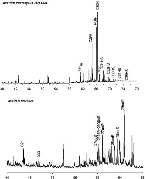 Mass Chromatogram Of Mz 191terpanes And 217 Steranes Of Na 21 Oil Download Scientific