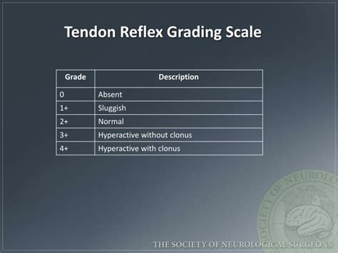 Tendon Reflex Grading