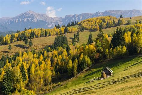 One Day Tour To Bran Castle And Hiking In Piatra Craiului National Park