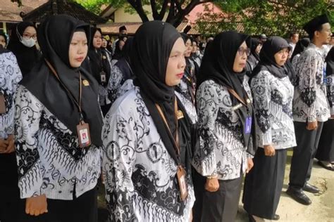 UPDATE TERKINI 85 Daerah Sudah Cairkan Tunjangan Profesi Guru