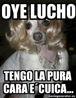 Meme Personalizado oye lucho tengo la pura cara eÂcuica 1002159